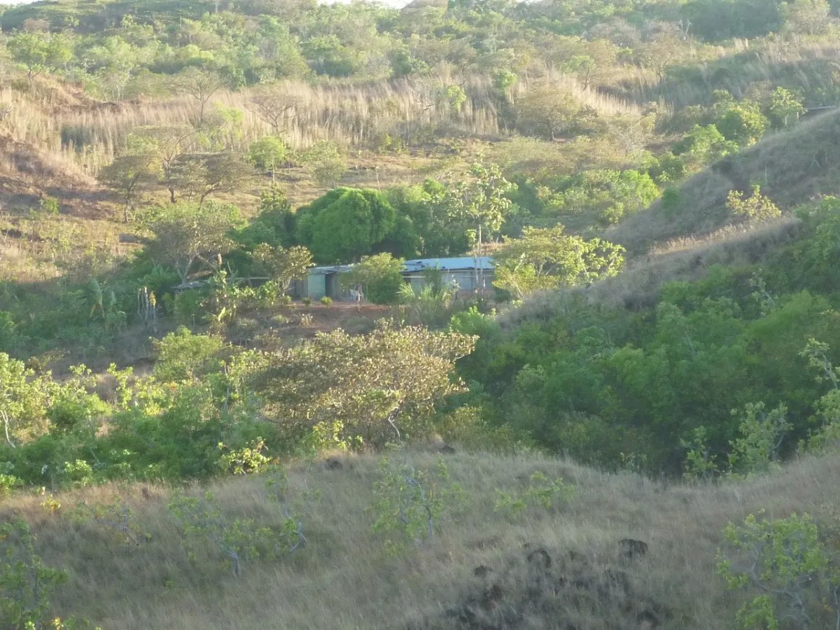 House For Sale in Calobre