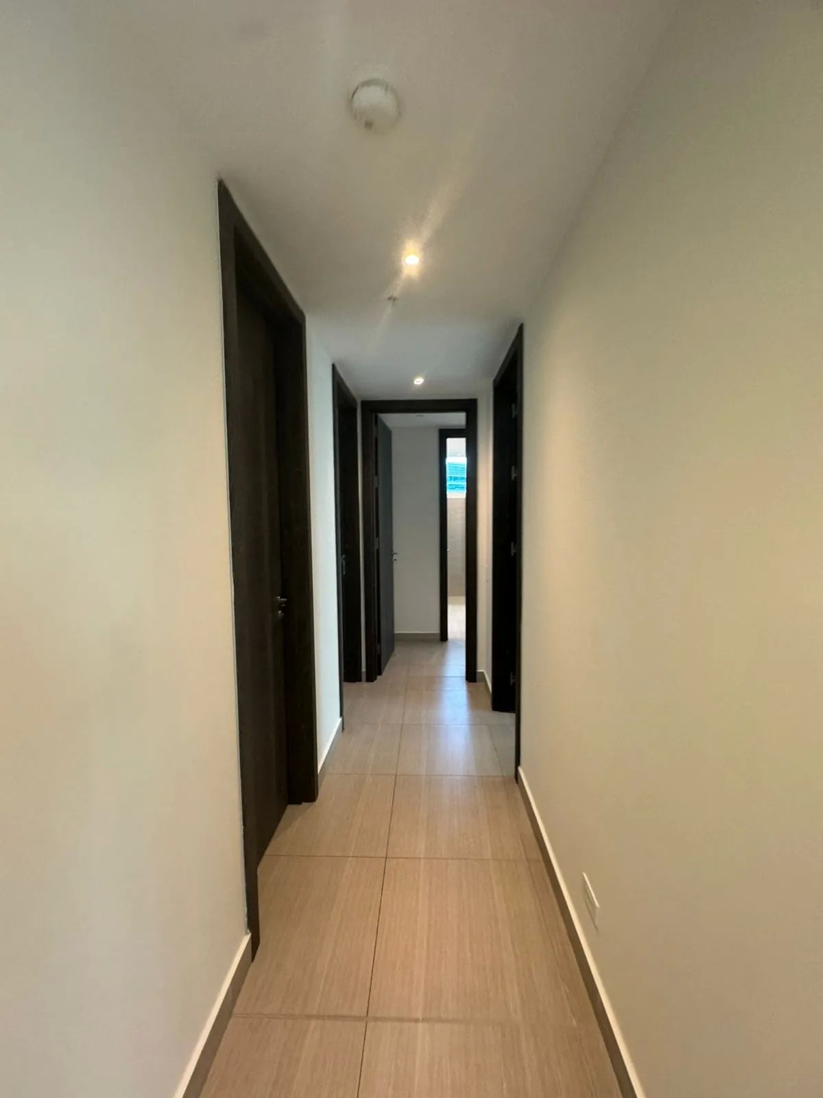 Apartment For Rent in Costa del Este