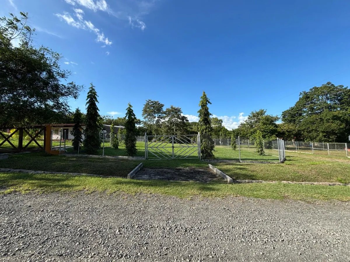 Unimproved Land For Sale in San Carlos