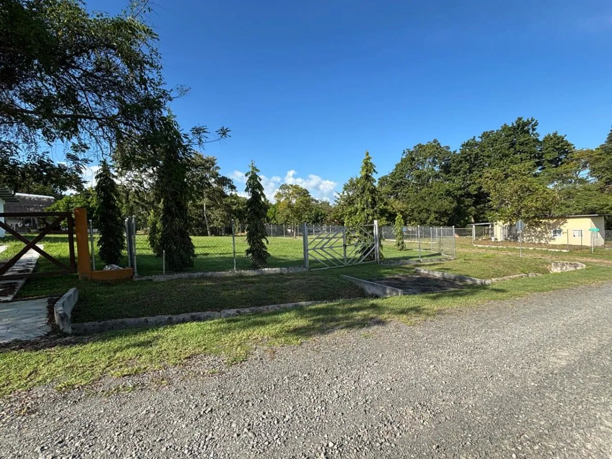 Unimproved Land For Sale in San Carlos