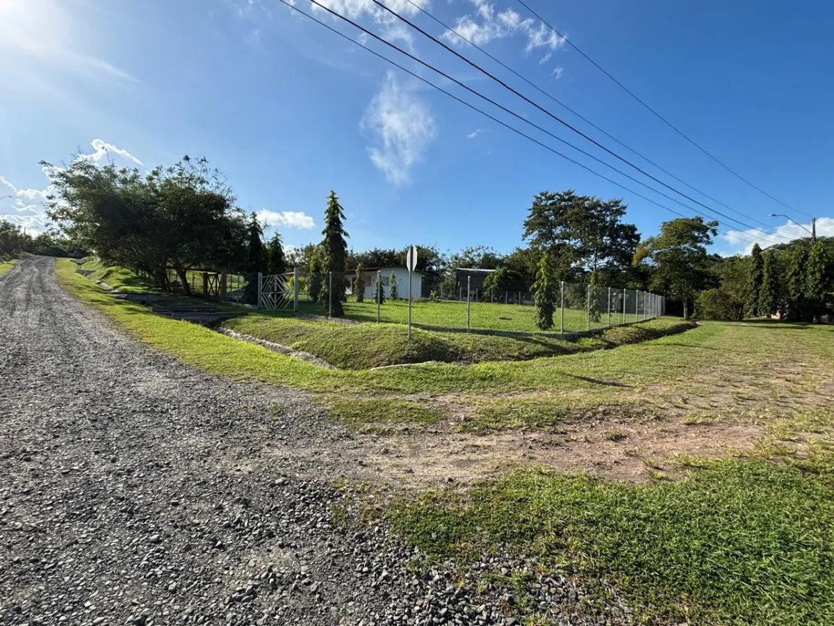 Unimproved Land For Sale in San Carlos