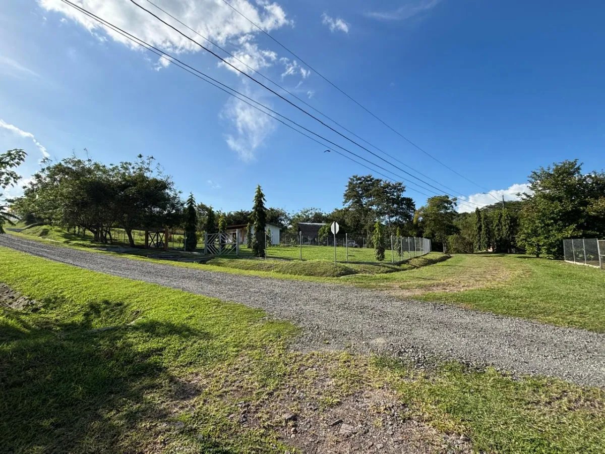 Unimproved Land For Sale in San Carlos