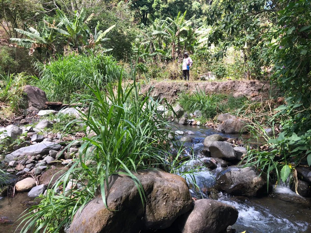 Venta de finca en Volcancito, Boquete, Chiriquí
