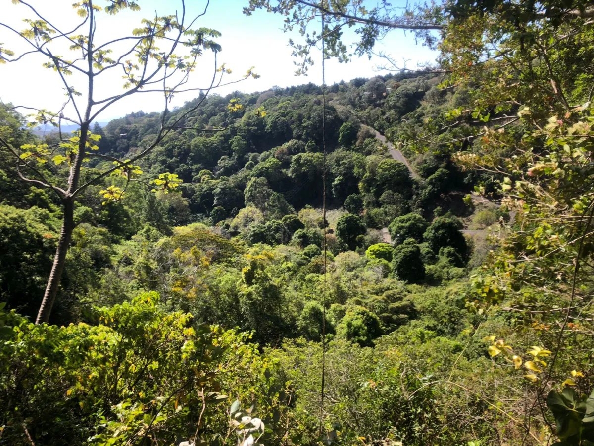 Venta de finca en Volcancito, Boquete, Chiriquí