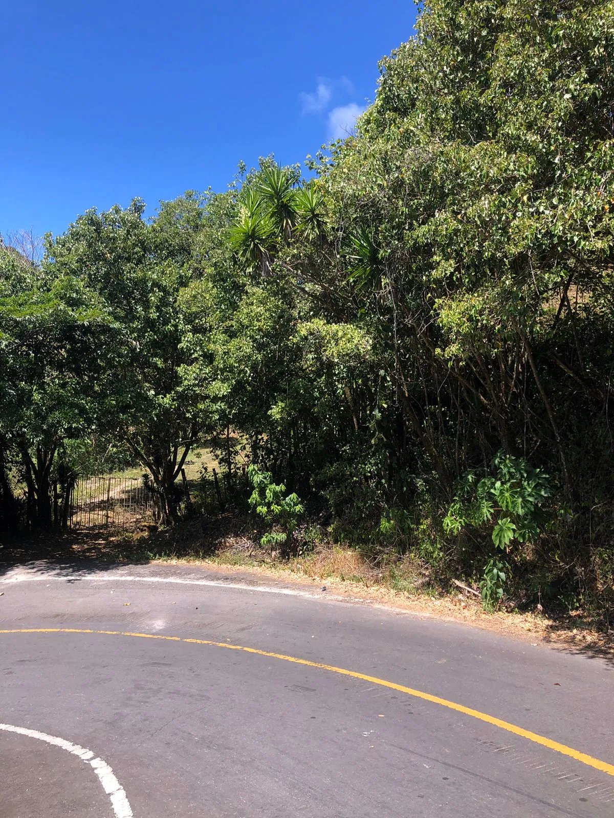 Venta de finca en Volcancito, Boquete, Chiriquí