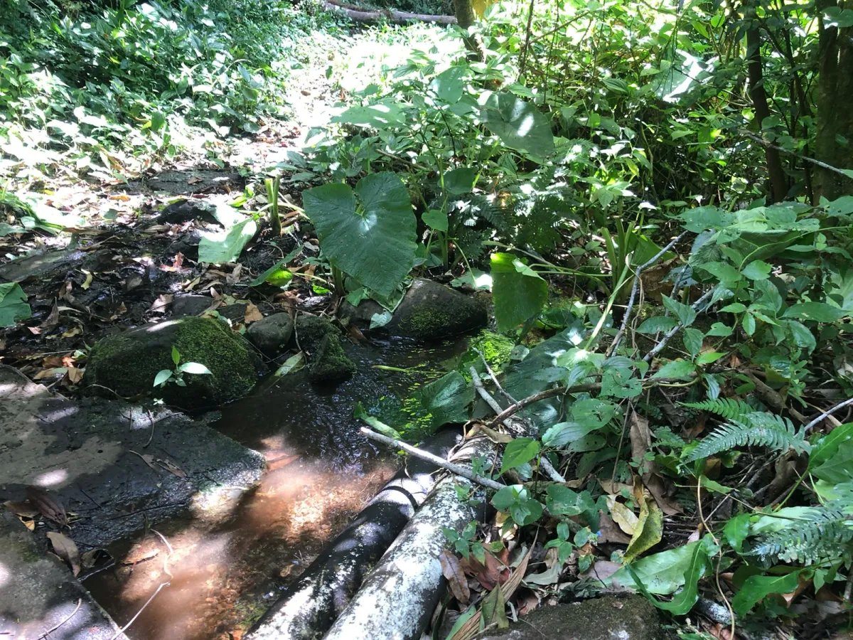 Venta de finca en Volcancito, Boquete, Chiriquí