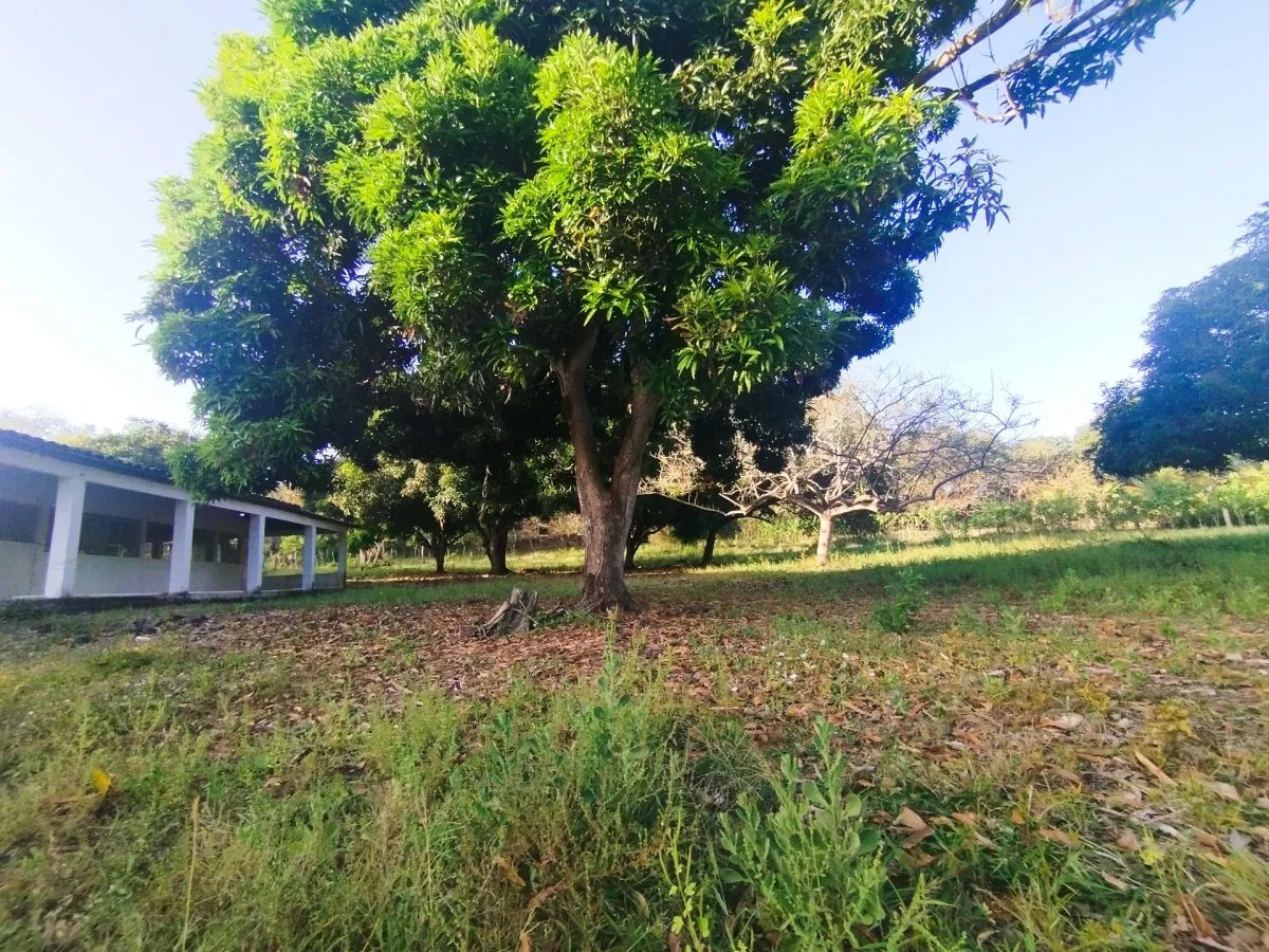 Se vende casa en Santo Domingo, Las Tablas, Los Santos