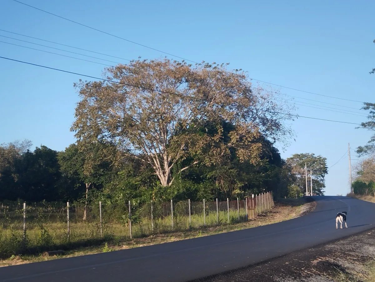Se vende casa en Santo Domingo, Las Tablas, Los Santos