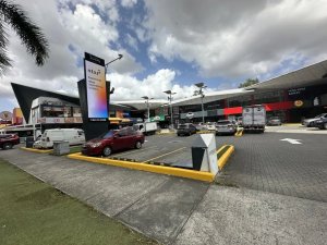 Retail For Rent in Costa del Este