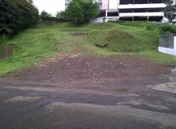 Unimproved Land For Sale in Betania