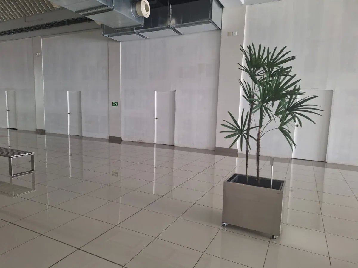 Venta de locales comerciales en David, Chiriquí