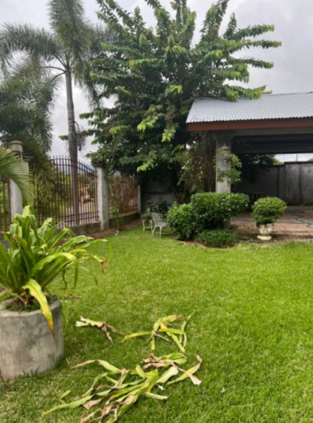 Unimproved Land For Sale in Coronado