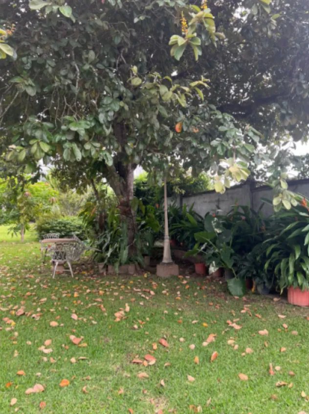 Unimproved Land For Sale in Coronado
