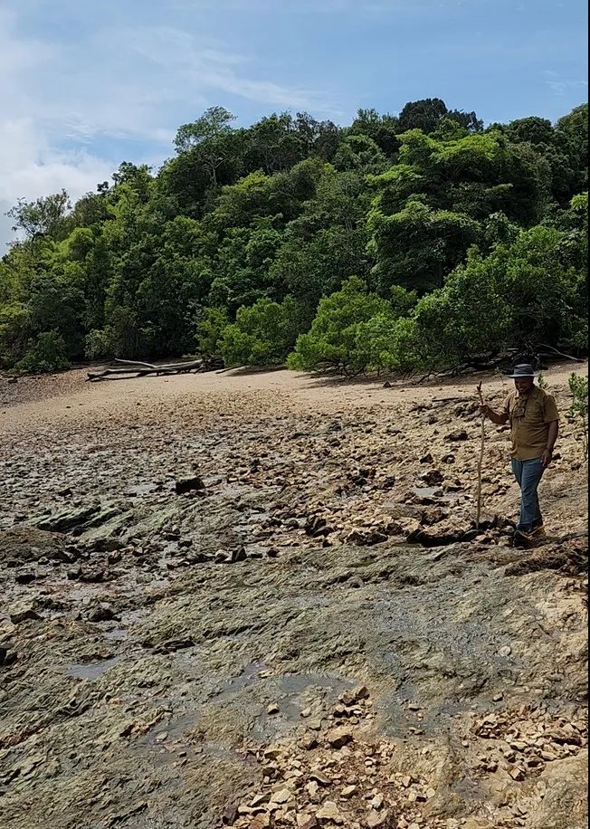 Isla en venta en La Palma, Darién, Panamá