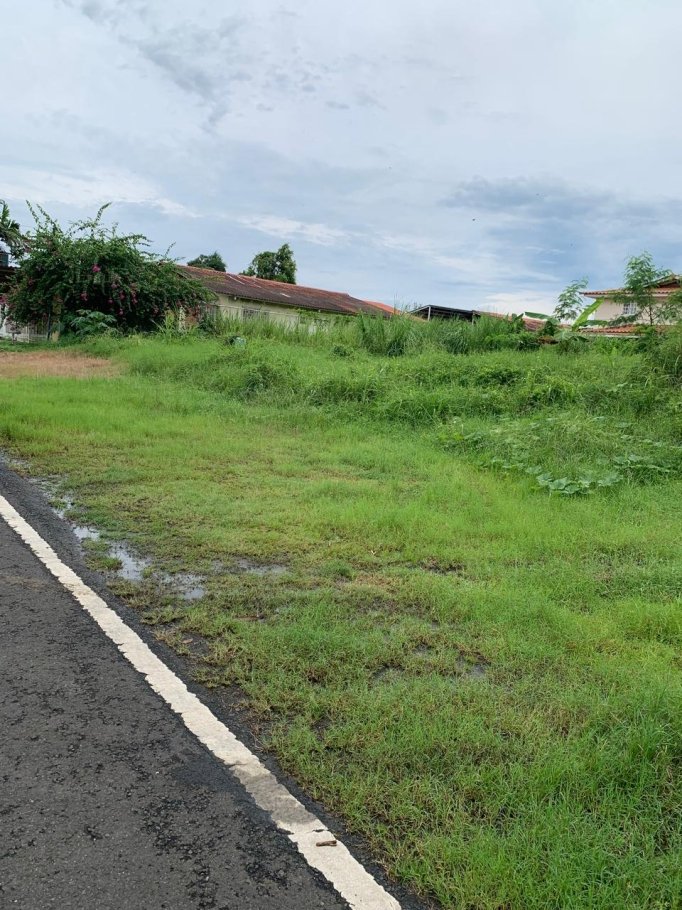Unimproved Land For Sale in Boquete