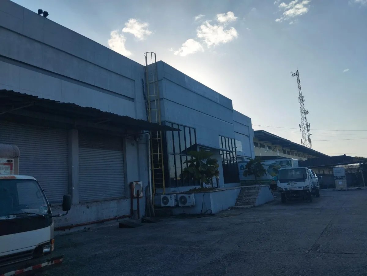 Business For Sale in El Crisol