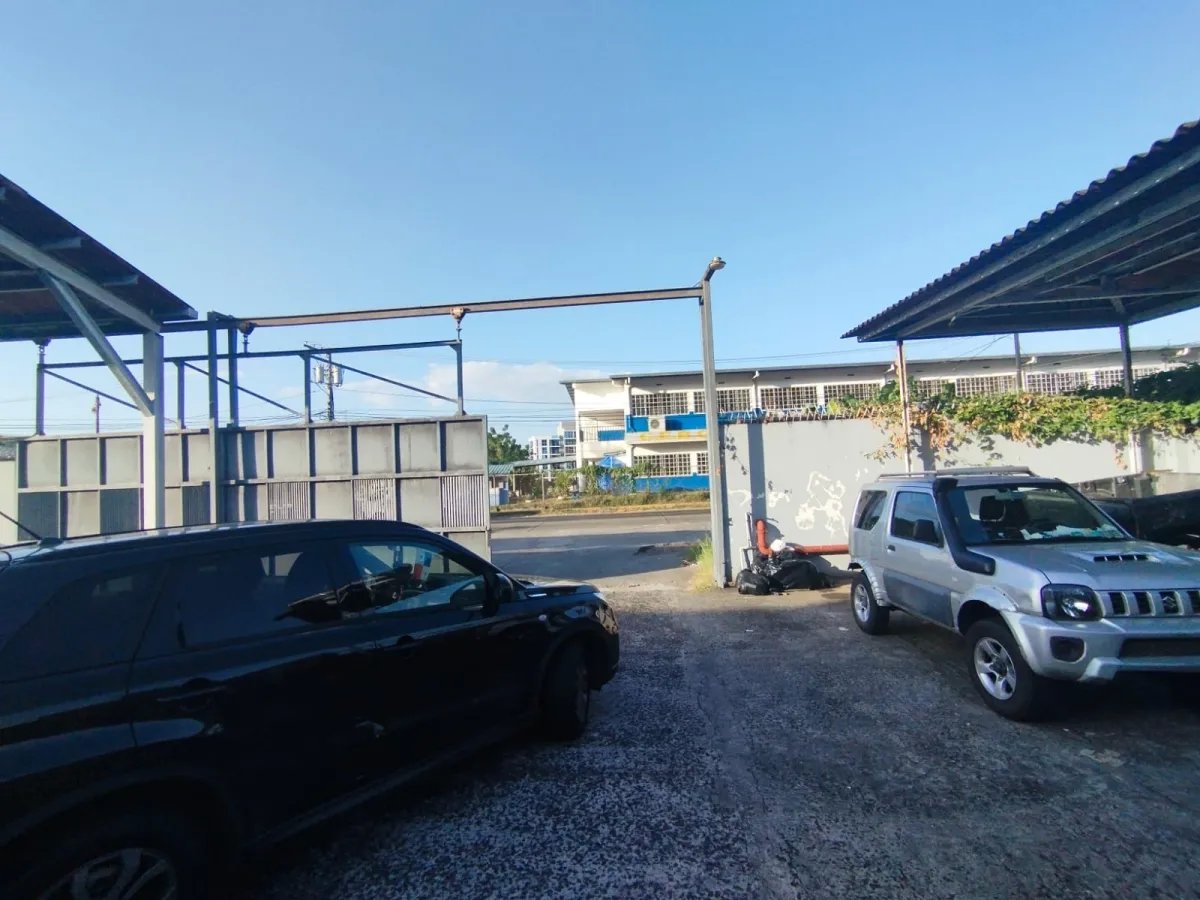 Business For Sale in El Crisol