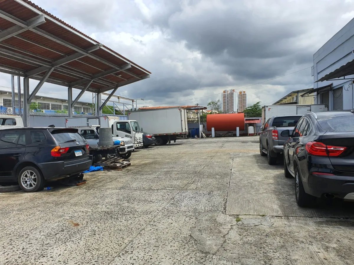Business For Sale in El Crisol
