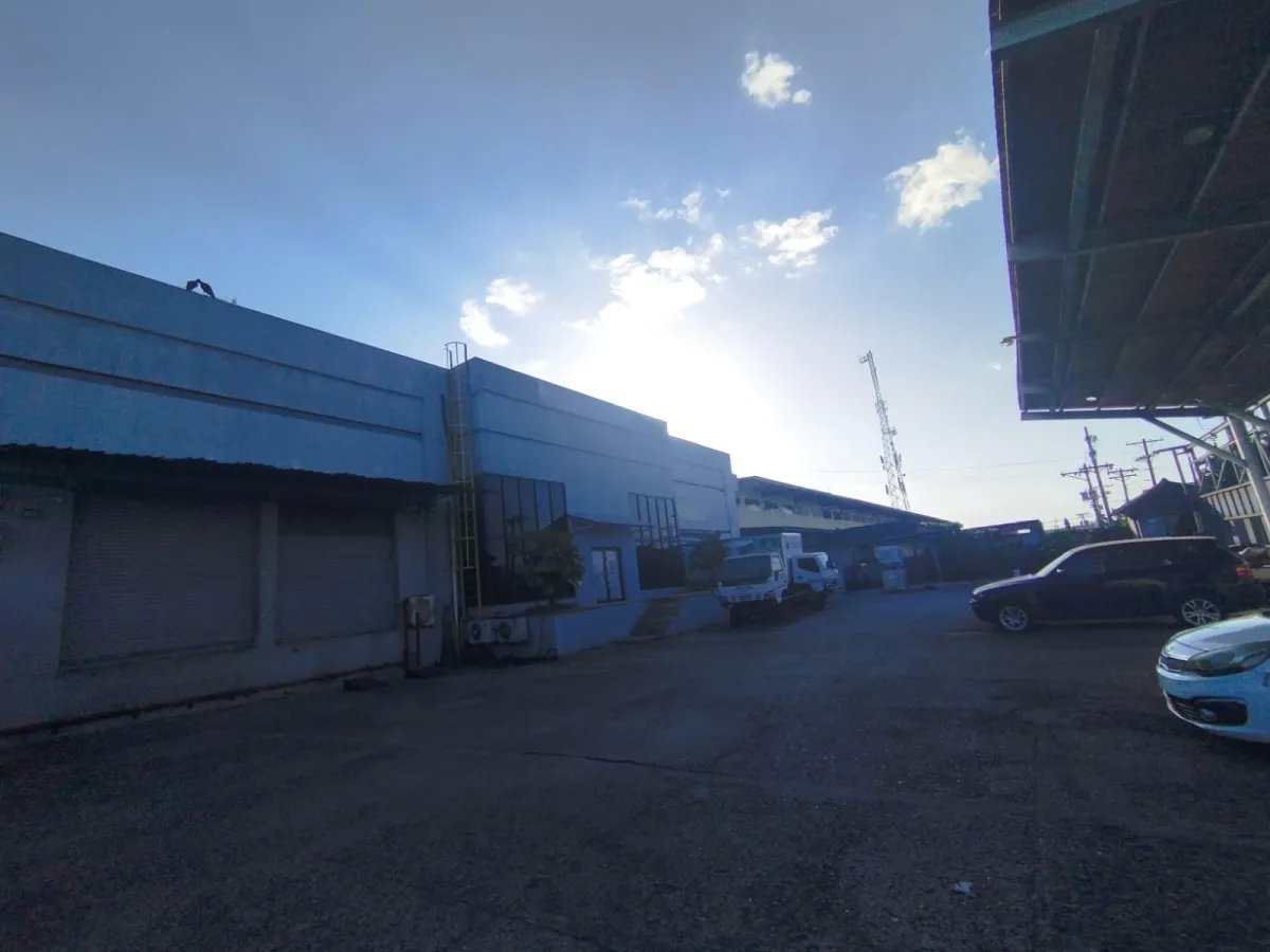 Business For Sale in El Crisol