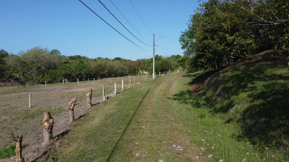 Venta de terreno en Hacienda La Florenciana, San Carlos