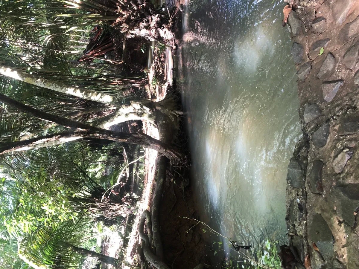 Se alquila restaurante con amplio terreno en La Chorrera