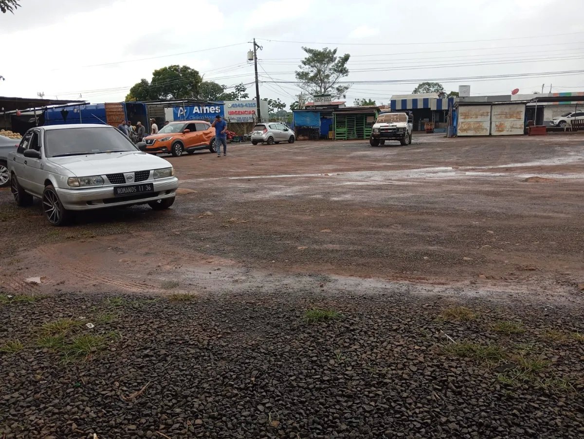 Unimproved Land For Sale in La Chorrera