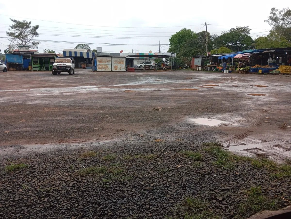 Unimproved Land For Sale in La Chorrera