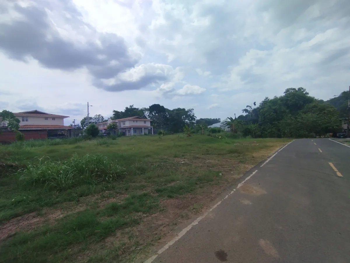 Unimproved Land For Sale in Juan Diaz