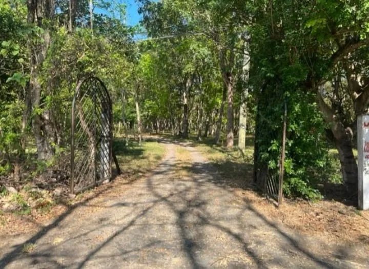 Unimproved Land For Sale in Chame