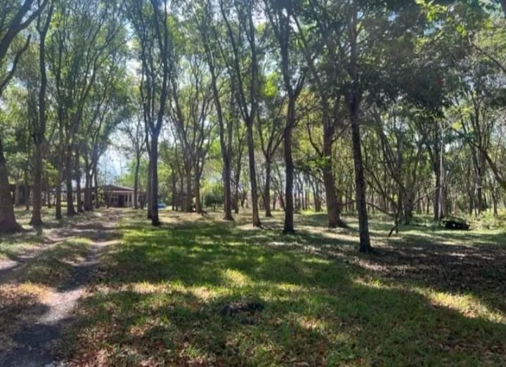 Unimproved Land For Sale in Chame