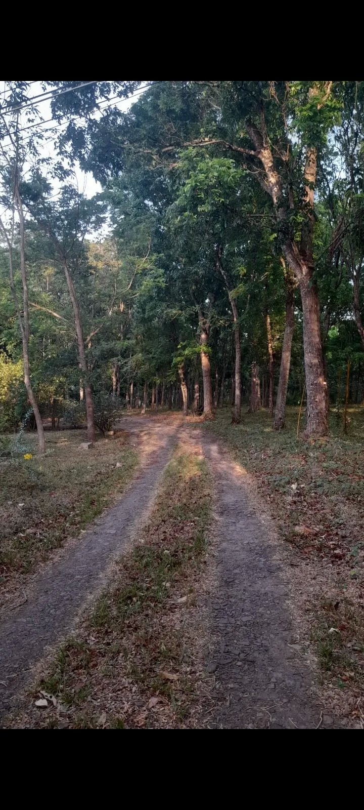 Unimproved Land For Sale in Chame