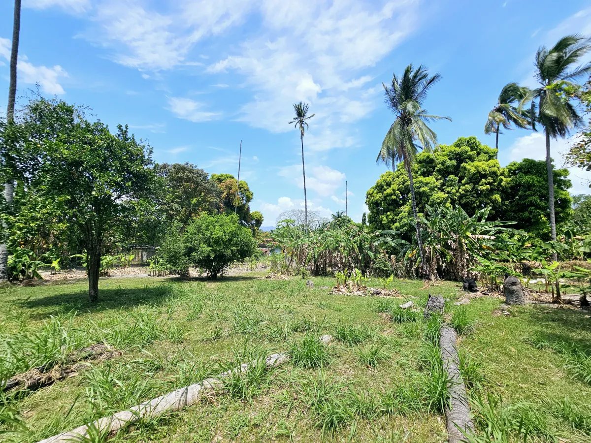 House For Sale in Chame