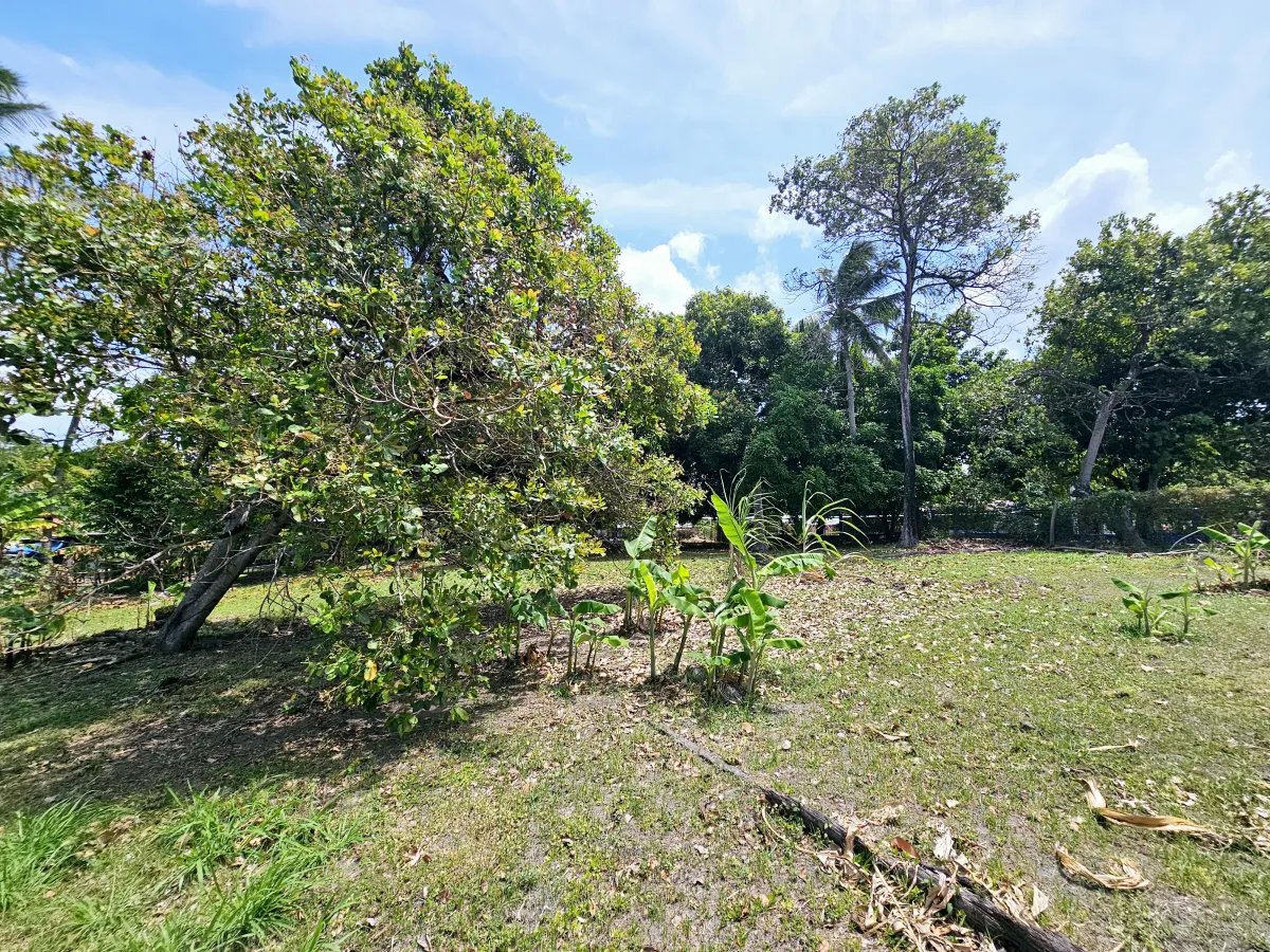 House For Sale in Chame