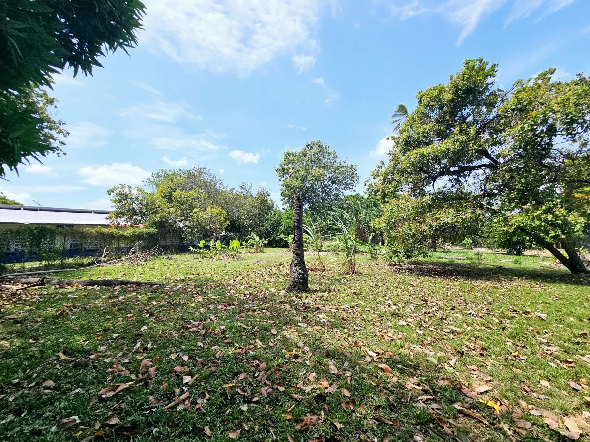 House For Sale in Chame