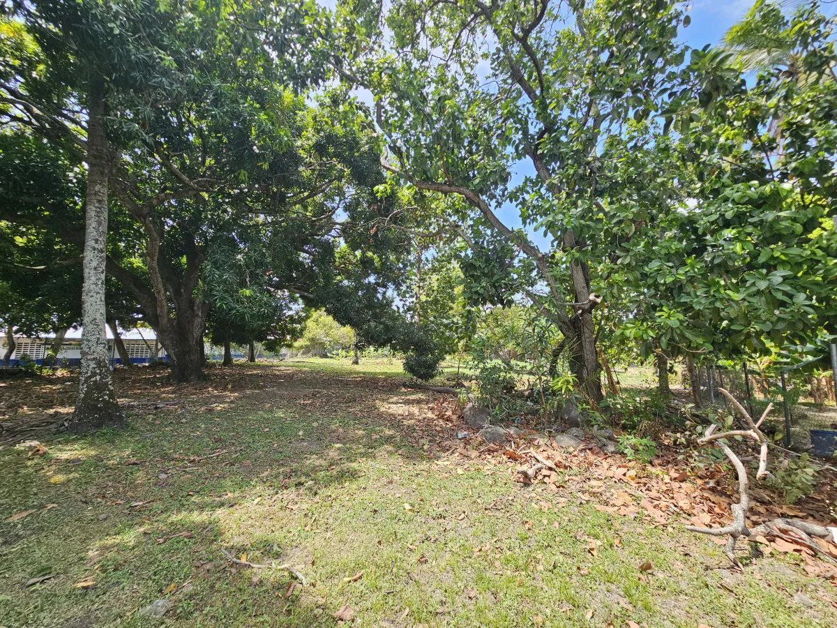 House For Sale in Chame
