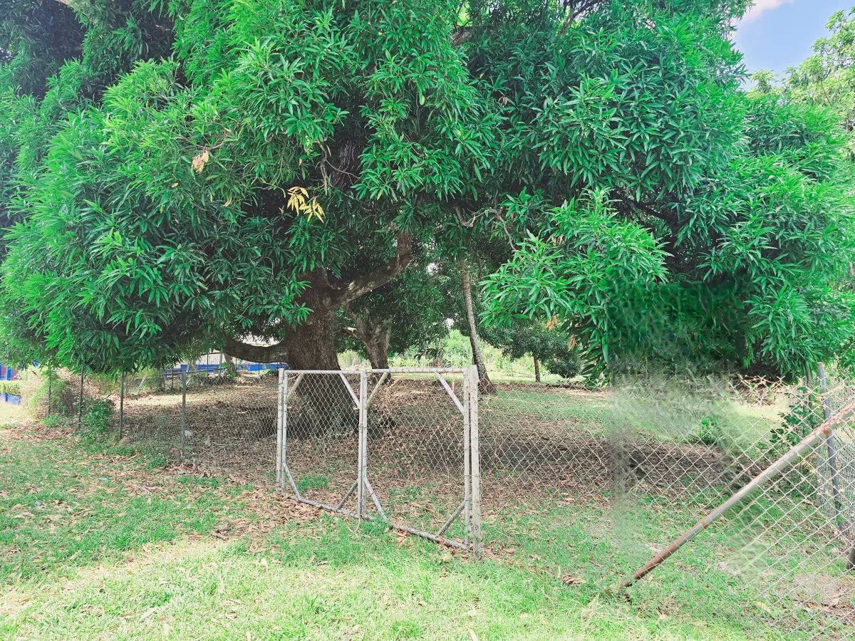 House For Sale in Chame