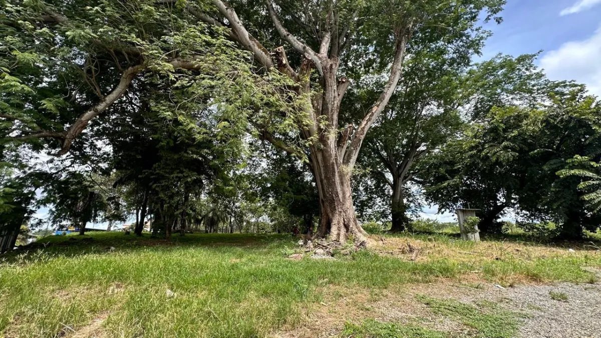 House For Sale in Chiriquí