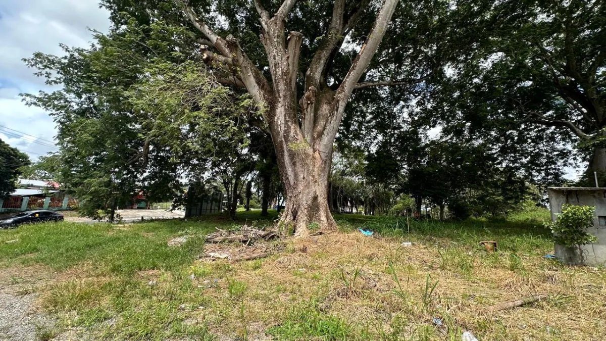 House For Sale in Chiriquí