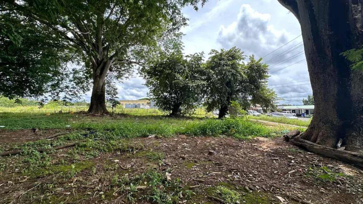 House For Sale in Chiriquí