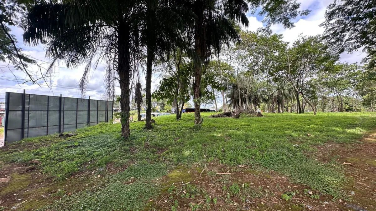 House For Sale in Chiriquí
