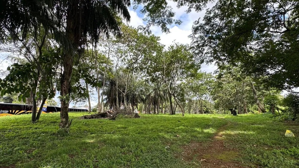 House For Sale in Chiriquí