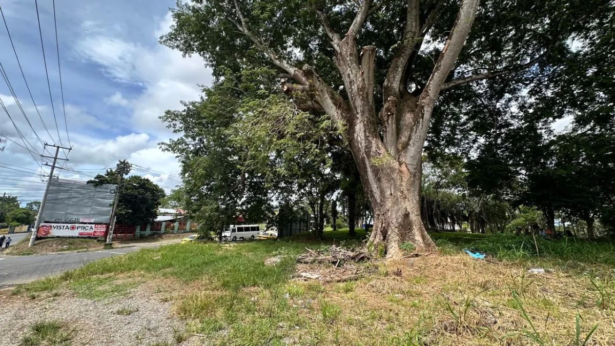 House For Sale in Chiriquí
