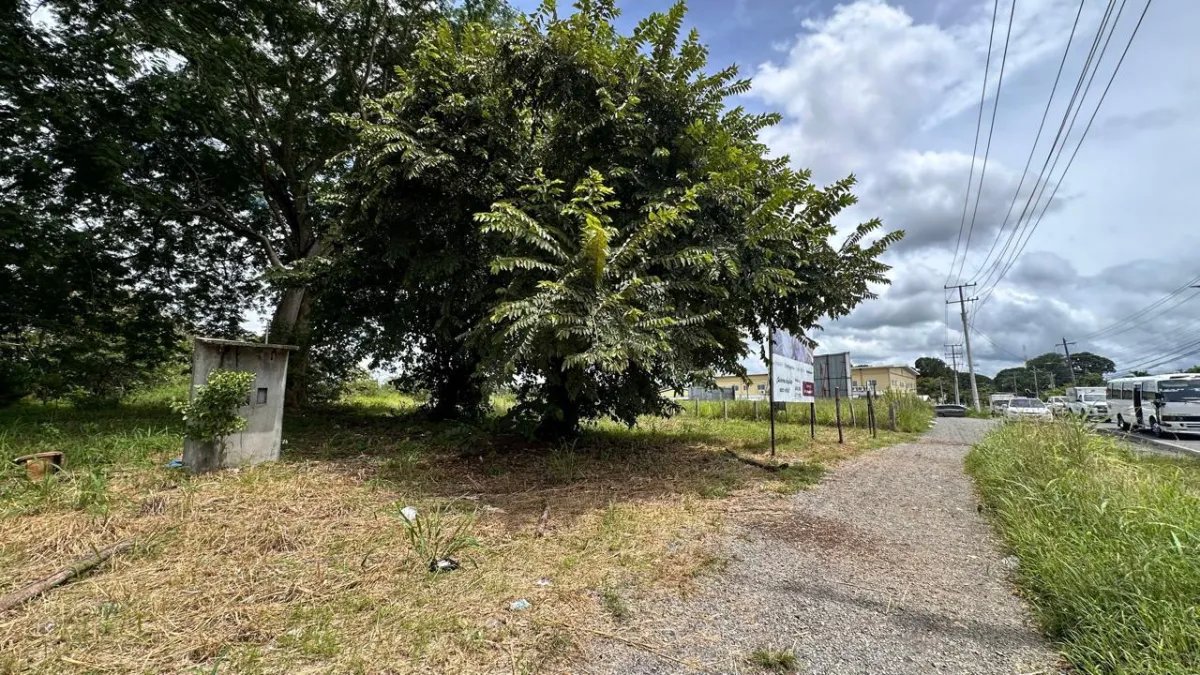 House For Sale in Chiriquí