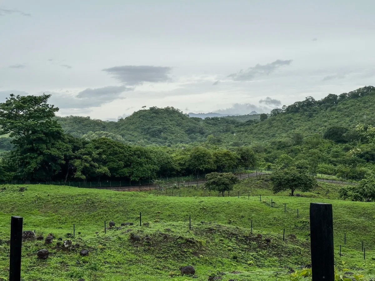 Unimproved Land For Sale in Las Lajas