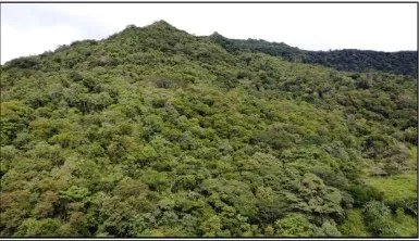 Venta de terreno en el Manglarito, Sorá