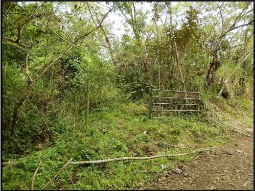 Venta de terreno en el Manglarito, Sorá
