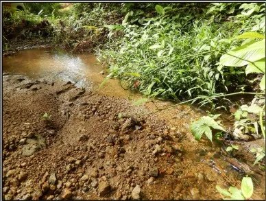 Venta de terreno en el Manglarito, Sorá
