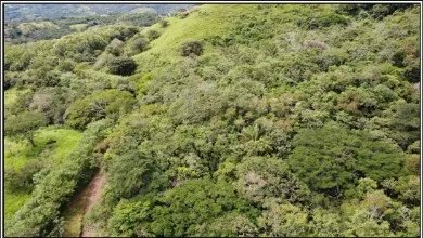 Venta de terreno en el Manglarito, Sorá