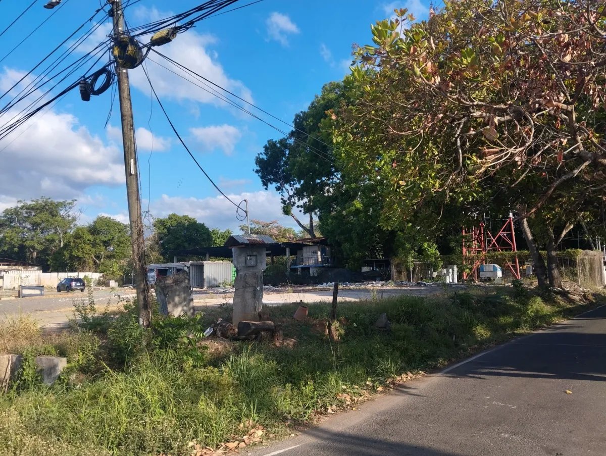 Unimproved Land For Sale in Pacora
