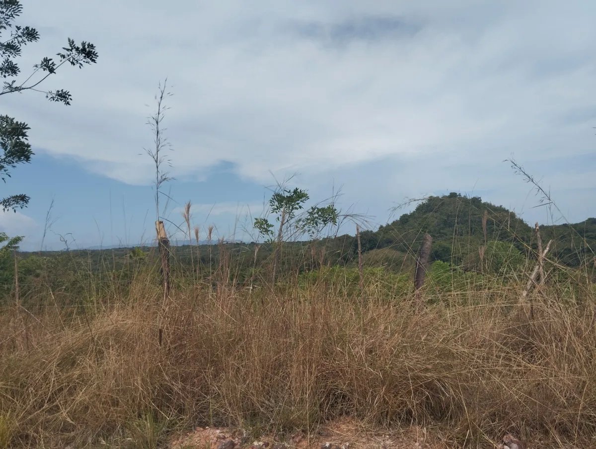 Se vende terreno en La Tambora, El Cacao, Capira